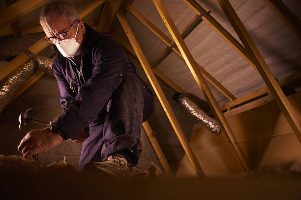 Best Eco-Friendly Insulation in Brushy, OK